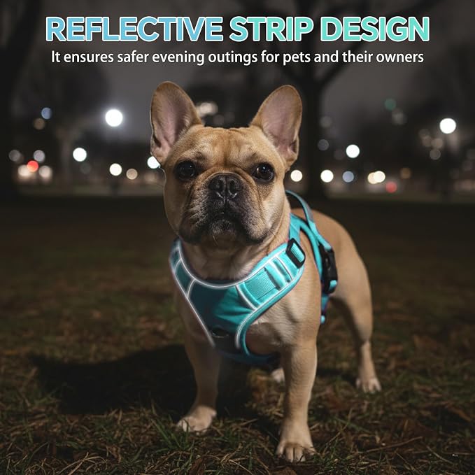 Heavy Duty Tactical Dog Harness for Large Dogs, No Pull Dog Harness with Handle & Front Clip, Reflective Soft Padded, Hook and Loop Panel, Dog Vest for Walking, Service Training, Blue