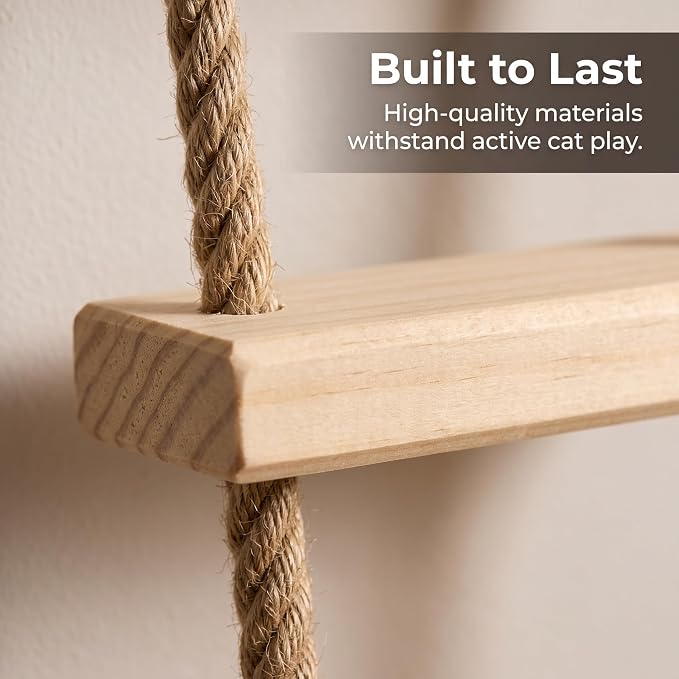 with Shelves for Climbing and Play, Hard Ladder