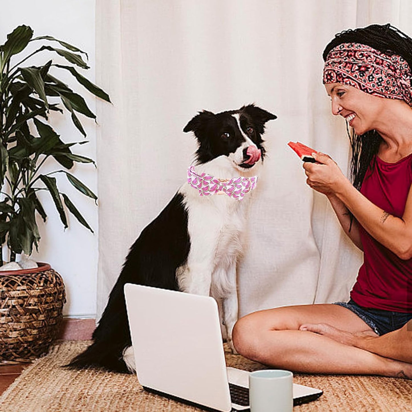 Elegant little tail Dog Collar, Watermelon Print Pet Collar Summer Dog Collar Durable Metal Buckle Dog Collars Cotton Pet Adjustable Dog Collars for X-Large Dogs