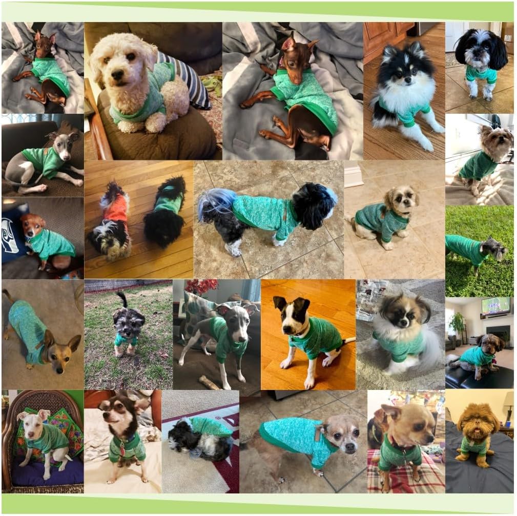 Jecikelon Dog Clothes Dogs Sweater Soft Puppies Clothing Winter Puppy Sweaters Warm Outfit for Dogs Small XXS XS Cat Apparel (Green, M)