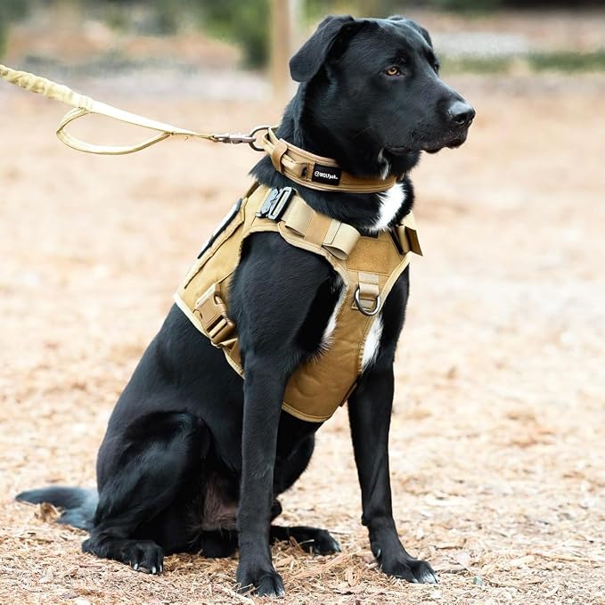 WOLFpak Tactical Dog Vest Harness No Pull Breathable MOLLE(Khaki, X-Large) | Dual Grab Handles, 1000D Nylon, Four-Point Adjustment, MOLLE Attachment Panels, Three Storage Pockets, Metal Alloy Buckles