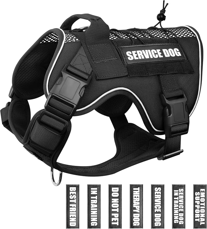 Service Dog in Training Mesh Harness with 10 Removale Pet Patches | Breathable material, adjustable straps, reflective trim, lightweight but durable, great for training, walks, and outings