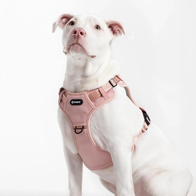 Fei & Eve Classic Dog Harness, MagEase Magnetic Buckle | 3-Point No-Pull Control, Dual Handle Support, 900D Nylon, Tactical Patch Panel, Heavy Duty, Small, Pink