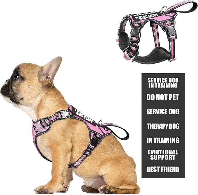 Service Dog Vest No Pull Dog Harness with 7 Dog Patches, Reflective Pet Harness with Durable Soft Padded Handle for Training Small, Medium, Large, and Extra-Large Dogs (Small, Pink)