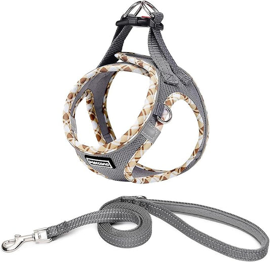 Mercano Soft Mesh Dog Harness and Leash Set, No-Chock Step-in Reflective Breathable Lightweight Easy Walk Vest Harnesses with Safety Buckle for Small Dogs, Cats (Grey, S)