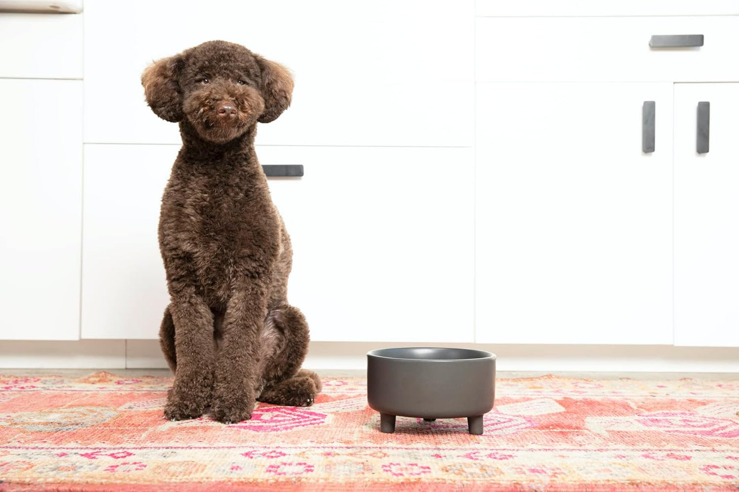 Waggo Uplift Ceramic Dog Bowl for Small Medium and Large Breeds - Heavyweight and Durable Pet Food and Water Dish Crock, Dishwasher Safe, Modern, Elevated Feeder (White, Small)