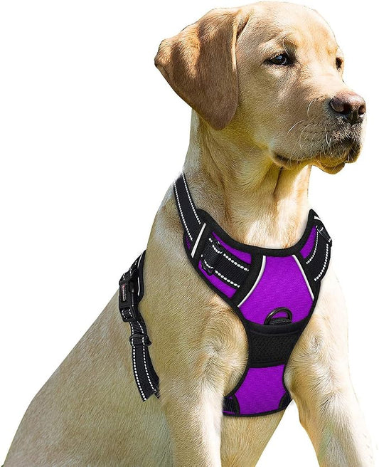 BARKBAY Dog Harness No Pull for Small Sized Dog Front Back Clips,Dog Vest | Soft Padded No Choke With Handle,Easy On&Off,Adjustable Reflective For Walking Training Running(Purple,S)