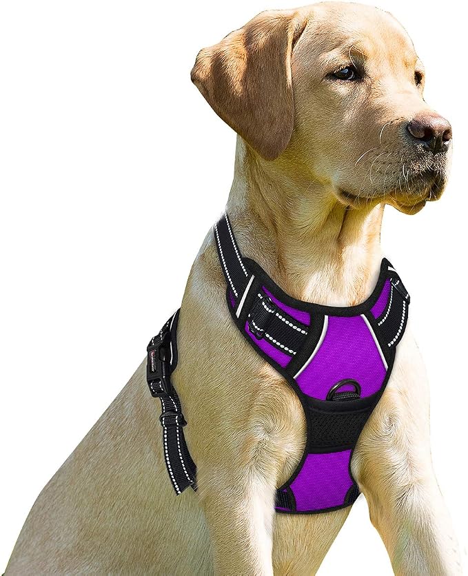 BARKBAY Dog Harness No Pull for Large Dogs Front Back Clips,Dog Vest | Soft Padded No Choke With Handle,Easy On&Off,Adjustable Reflective For Walking Training Running(Purple,L)