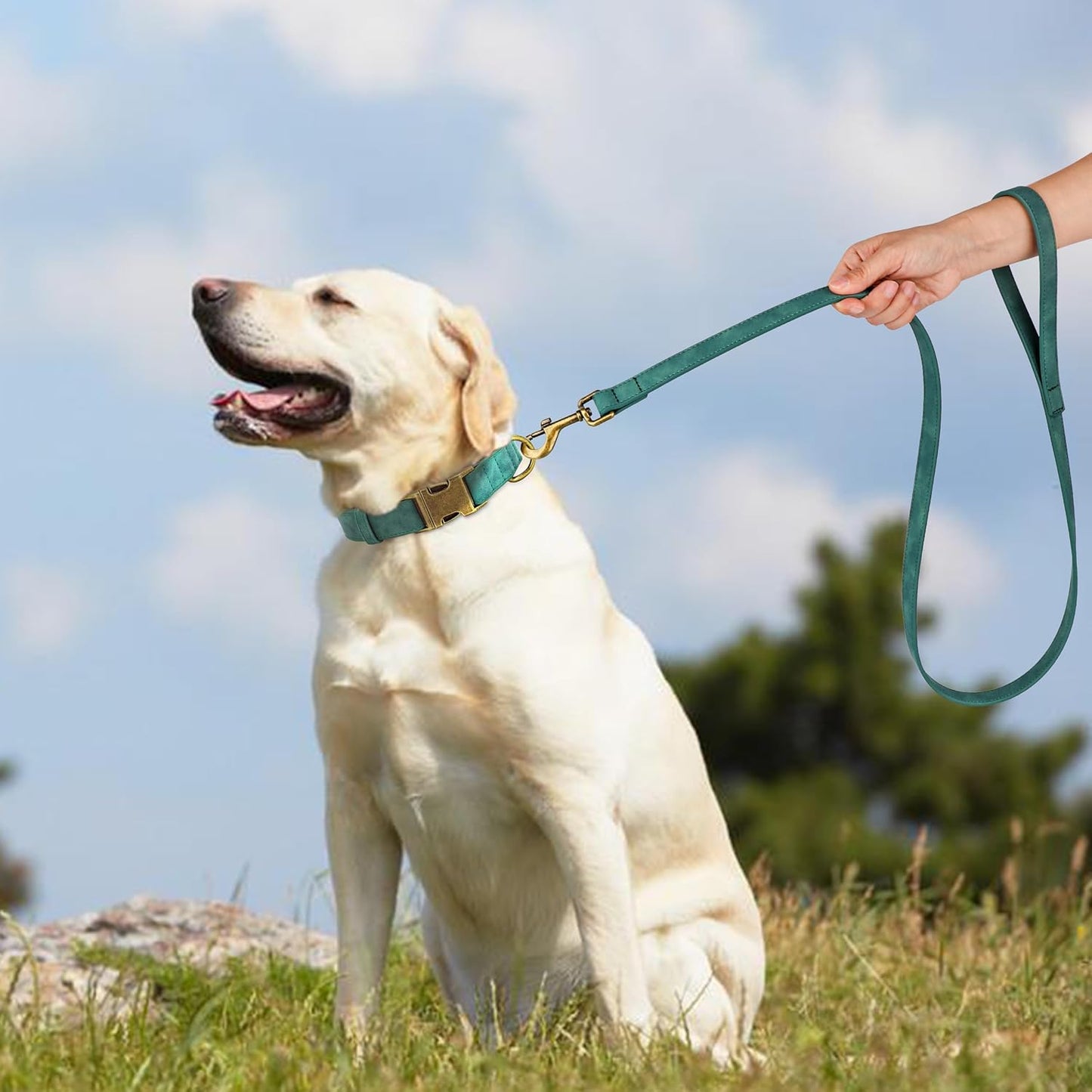 Didog Soft PU Leather Dog Collar, Stylish Quick Released Dog Collar for Large Dogs, Easy Clean Adjustable Pet Collar for Daily Walking, Green, L Fit 15-23" Neck