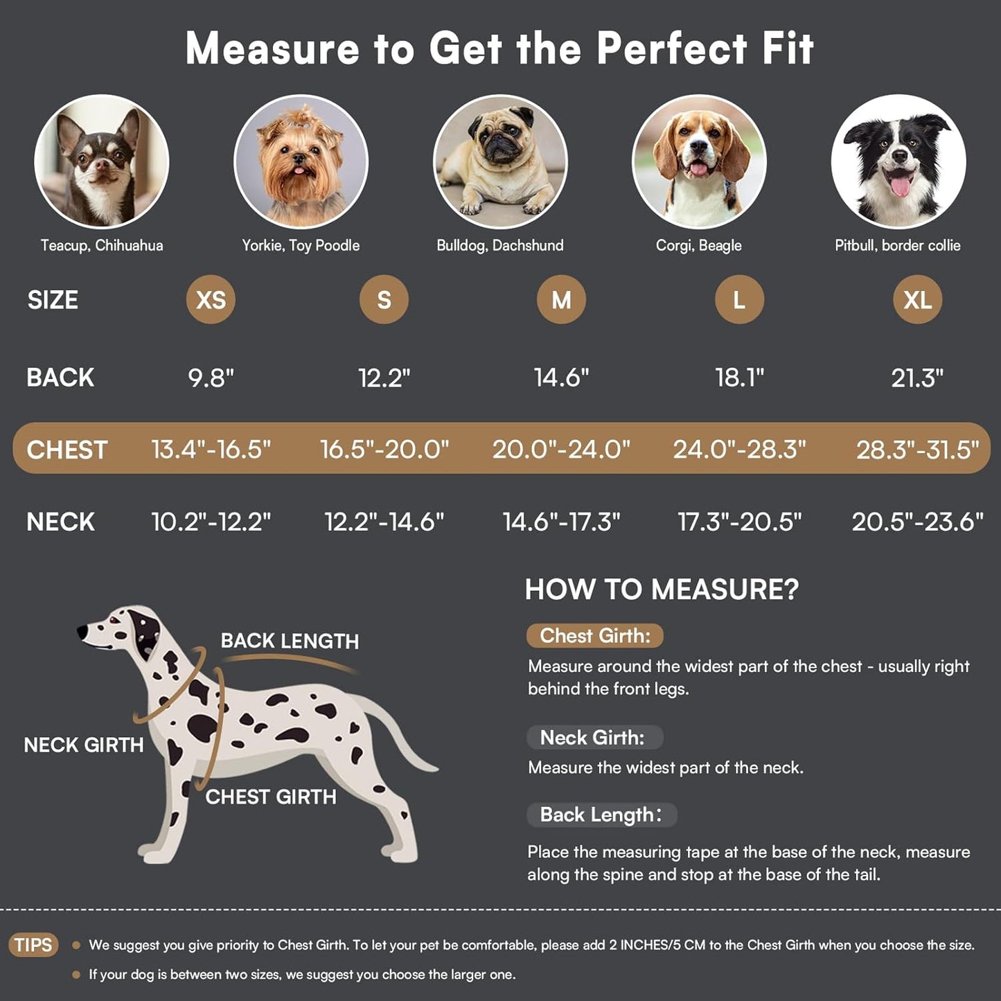 Queenmore Dog Winter Coat Warm Puffer Jacket Waterproof Plush Lining Thermal Cold Weather Vest for Small Medium Large Dogs, Windproof Easy On Pet Jacket Black L