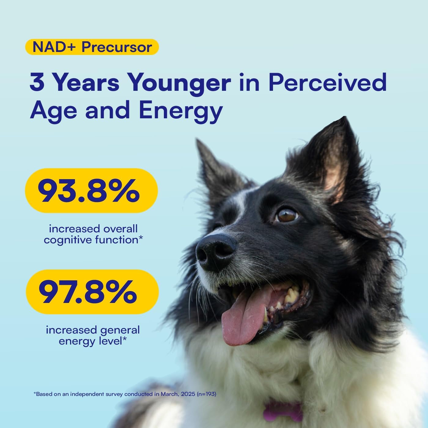 NAD+ Precursor & Senior Dog Supplement - 90 Soft Chews & Vitamins - NMN Alternative for Longevity, Anti-Aging & Energy - Nicotinamide Riboside, Resveratrol, Quercetin, Made with Pasture-Raised Chicken