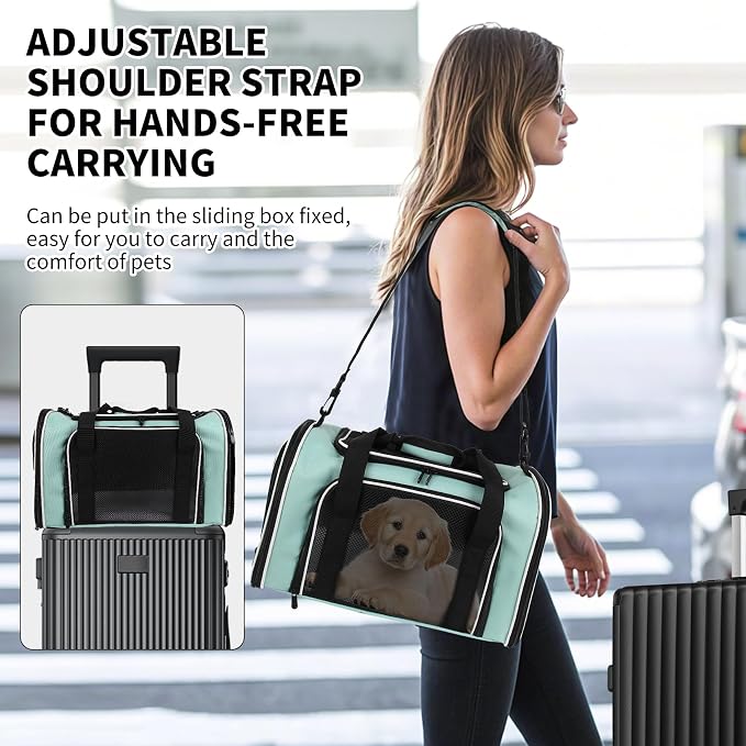 Carriers Soft-Sided Large Pet Carrier for Cats Dogs Small Animals Up to 25Lbs,Top Load Carrier,Ventilated Design,Portable Cat Carrier Airline Approved(X-Large,Green)