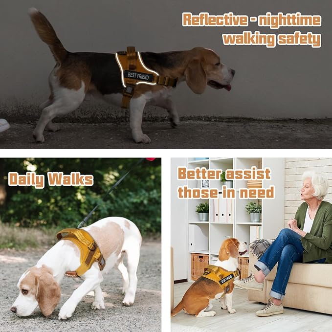 AUROTH Dog Harness and Leash Set Small Sized Dog, No Pull Escape Proof Vest | with Leash Clips, LED light clip, Breathable Mesh Padded No Choke, Easy Walking and Training, Turmeric, Small