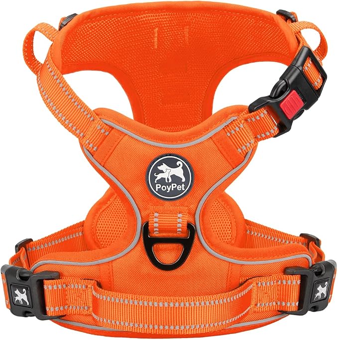 PoyPet No Pull Dog Harness, Reflective Vest with 2 Leash Clips & Handle | Lockable Neck Release Buckle, No Choke, Adjustable, Soft Padded, for Walking Training, Orange Matching Trim, Large
