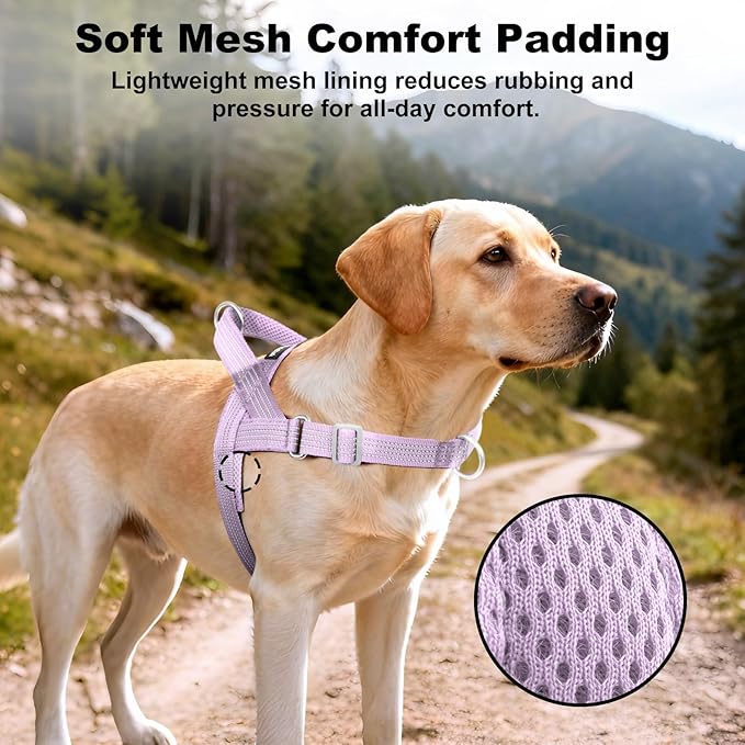No Pull Dog Harness with Handle, Adjustable Soft Mesh Padded Vest | Reflective Walking Harness with Front Clip for Small Medium Large Dogs, Quick Fit No Escape for Training, Purple, XL