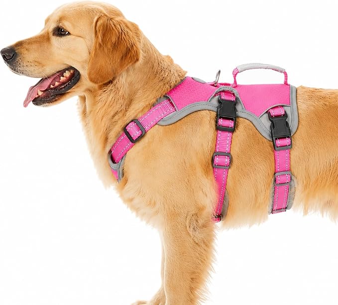 Escape Proof Dog Harness, Dachshund Harness, Reflective Dog Harness with Handle, Durable,Adjustable Vest for Small Medium Large Dogs Walking, Training, and Running Gear (Rose red,L)