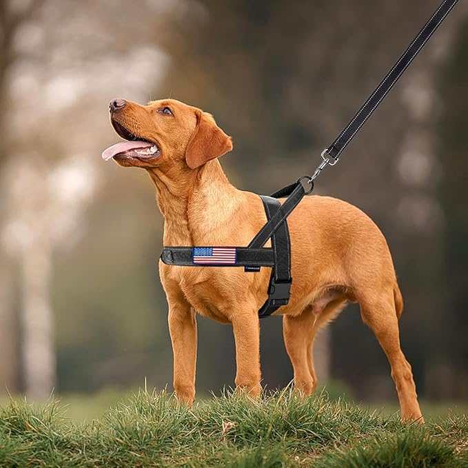 Annchwool No Pull Dog Harness with Padded Handle+5 Ft Leash,Reflective Strip Escape Proof and Quick Fit to Adjust Dog Harness,Easy for Training Walking for Small & Medium and Large Dogs(Black-Set,XL)