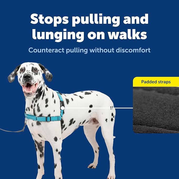 Petsafe Deluxe Easy Walk Harness, Large, Ocean Blue, EWH-D-HC-L-OCN | Padded Neoprene Straps, Reflective Strips for Night Safety, Martingale Loop Curbs Pulling from the Chest, Not the Throat