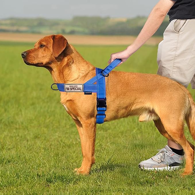 Annchwool No Pull Dog Harness with Soft Padded Handle,Reflective Strip Escape Proof and Quick Fit to Adjust Dog Harness,Easy for Training Walking for Small & Medium and Large Dogs(Blue,S)