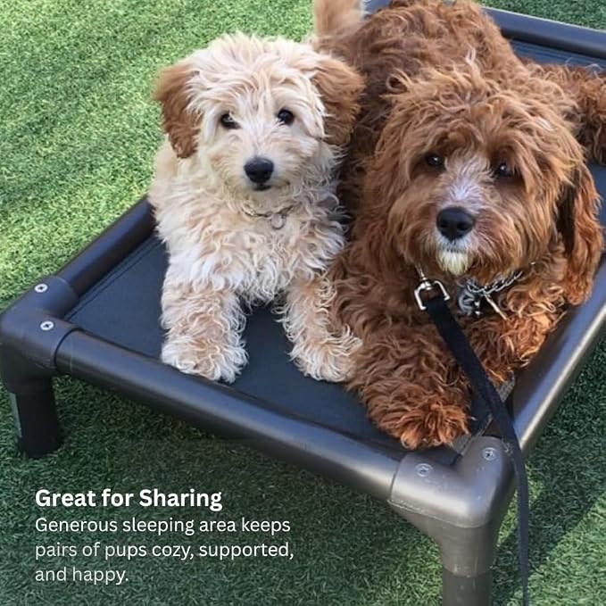 Kuranda Chewproof Elevated Dog Bed - Walnut PVC - 30" x 20" - Sunsure Textilene Outdoor Mesh - Birch
