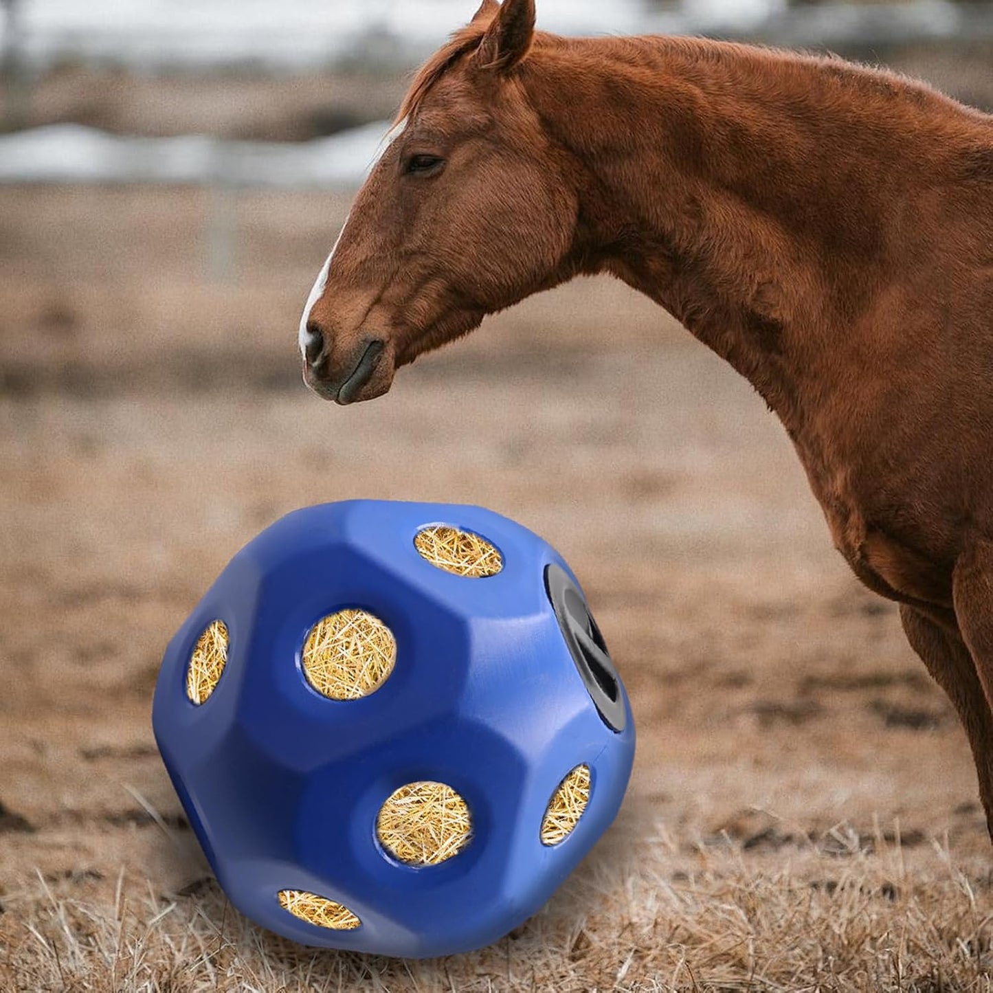 Hay Feeder, Horse Treat Ball, Hay Feeder for Horses, Horse Ball, Hay Ball Feeder for Horses, Horse Feeders for Stalls