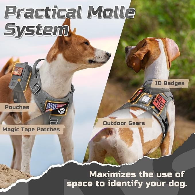 rabbitgoo Tactical Dog Harness for Large, No Pull Military Service Vest | Molle & Handle, Heavy Duty, Adjustable, Reflective Straps, Easy Control for Training Walking, Grey, Large