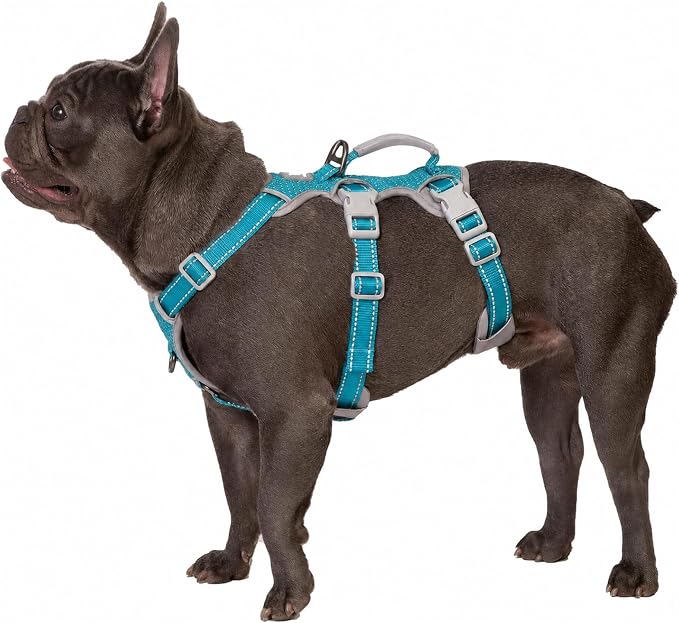 No Escape Dog Harness, Escape Proof Harness, Fully Reflective Harness with Padded Handle, Breathable, Durable, Adjustable Vest for Medium Dogs Walking, Training, and Running Gear (Teal,M)
