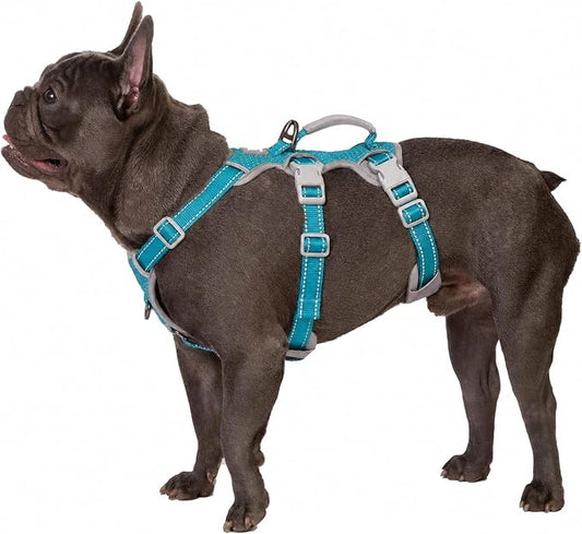 No Escape Dog Harness, Escape Proof Harness, Fully Reflective Harness with Padded Handle, Breathable, Durable, Adjustable Vest for Medium Dogs Walking, Training, and Running Gear (Teal,M)