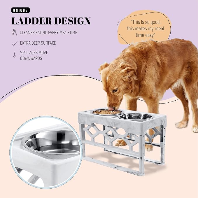 AVERYDAY Elevated Dog Bowls, 4 Height Adjustable Stand for Medium and Large Dogs, Raised Dog Feeder Holder with 2 Stainless Steel Food and Water Bowls, Anti-Slip Base Tall Feeding Station