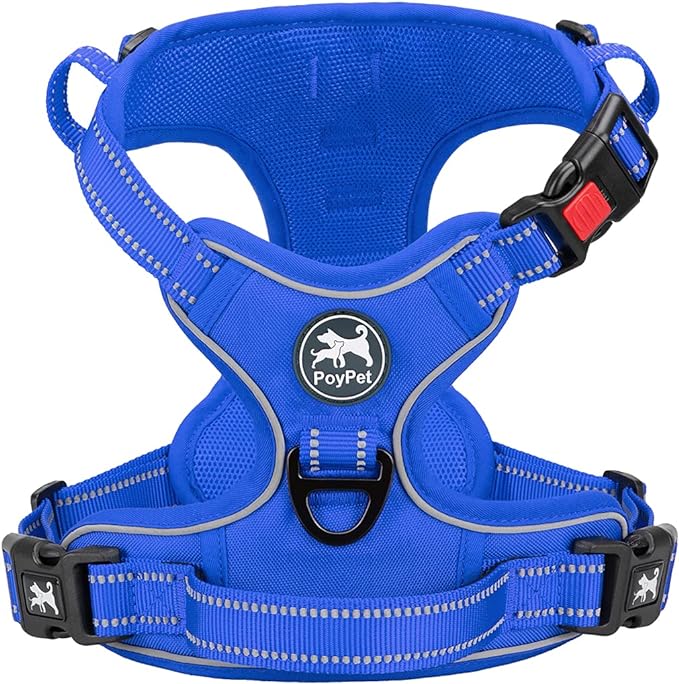 PoyPet No Pull Dog Harness, Reflective Vest with 2 Leash Clips & Handle | Lockable Neck Release Buckle, No Choke, Adjustable, Soft Padded, for Walking Training, Royal Blue, Medium