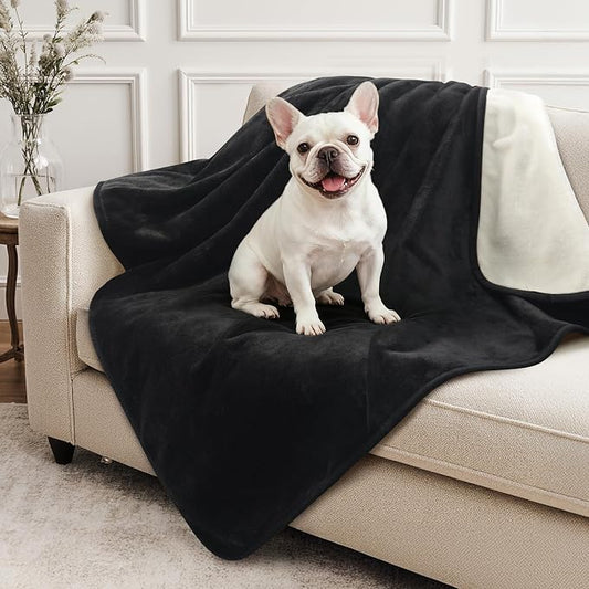 LOOBANI Waterproof Dog Blanket for Small Dogs, Pet Blanket 30" x 40", Black | Double Side Liquid-Proof, Puppy Blanket for Dog Cat Bed, Crate, Playpen, Reversible Soft Flannel, Couch Cover Throw