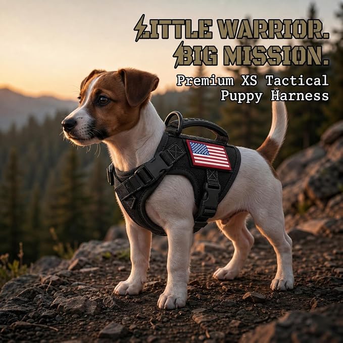 Tactical Dog Harness for Small Puppy, Escape Proof No Pull Military Dog Vest with Vertical Handle, Adjustable XS Puppy Harness with Chest Support Pad, Breathable Mesh, 2 Patches, Black
