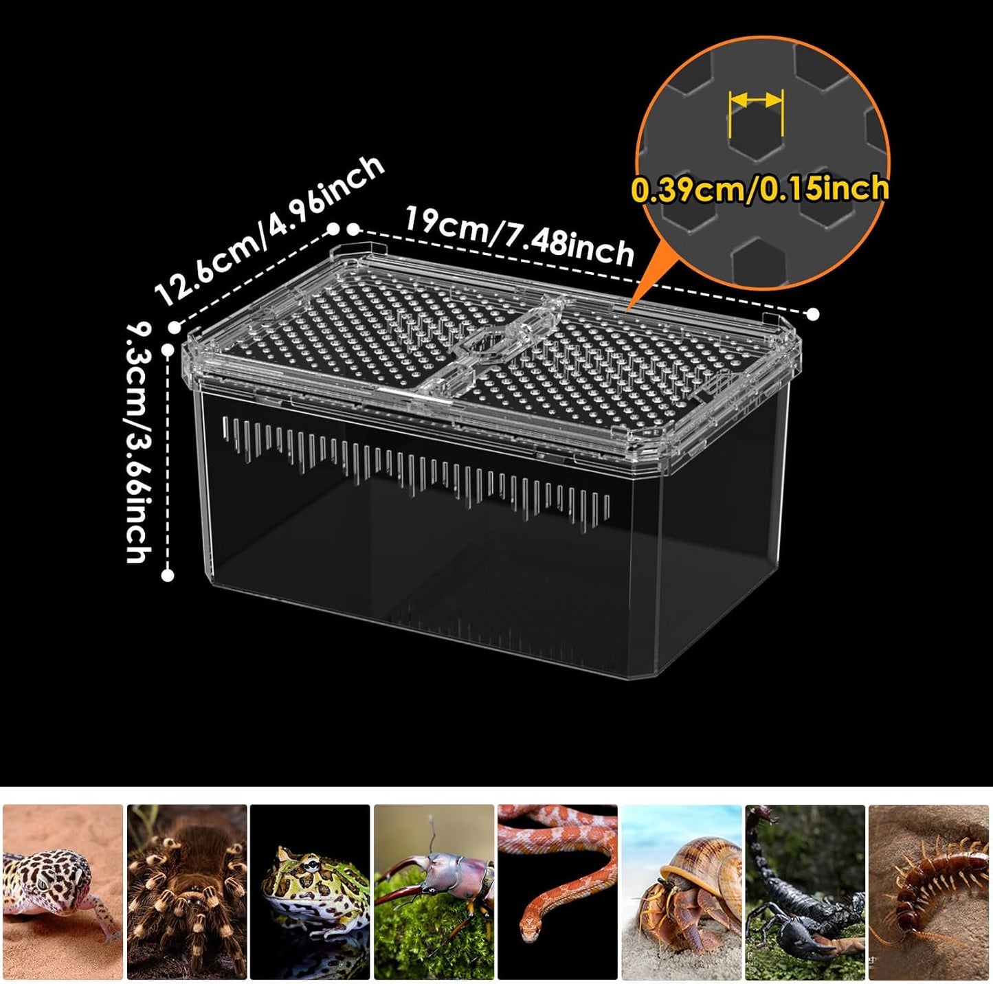 Breathable and Secure Reptile Tank with high Transparency - Ideal Container House for Hermit Crab, Tarantula Enclosure, Cricket Habitat or Jumping Spider Habitat (S)