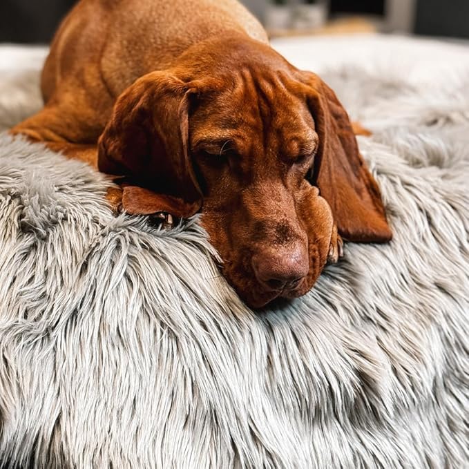 Waterproof Dog Blanket for Small, Medium & Large Dogs – Faux Fur Pet Throw for Couch, Sofa, Bed & Car – Soft, Washable, Stain-Resistant, Durable Cover – Grey – 60" x 50"