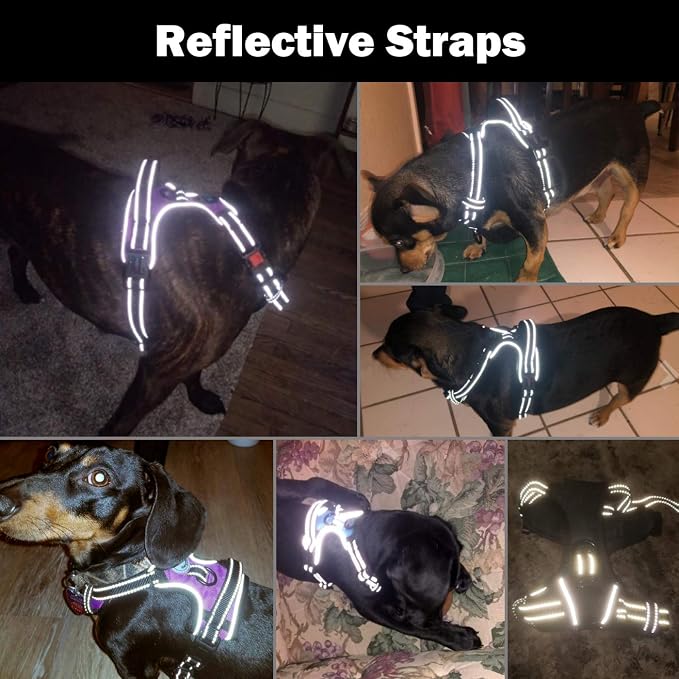 No Pull Dog Harness Medium Reflective Front Clip Vest with Handle | Adjustable 2 Metal Rings 3 Buckles[Easy to Put on & Take Off](M, Red)