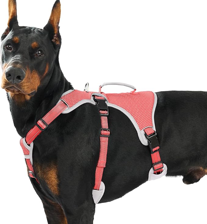 Escape Proof Dog Harness, Dachshund Harness, Reflective Dog Harness with Handle, Durable,Adjustable Vest for Small Medium Large Dogs Walking, Training, and Running Gear (Red,XL)
