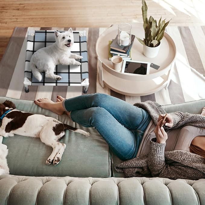 Caghash Elevated Outdoor Raised Dog Bed, Lifted Dog Cot for Small Pet | Breathable Fabric Dog bed for Indoor & Outdoor, Stainless Steel, Anti-Slip Pet Bed