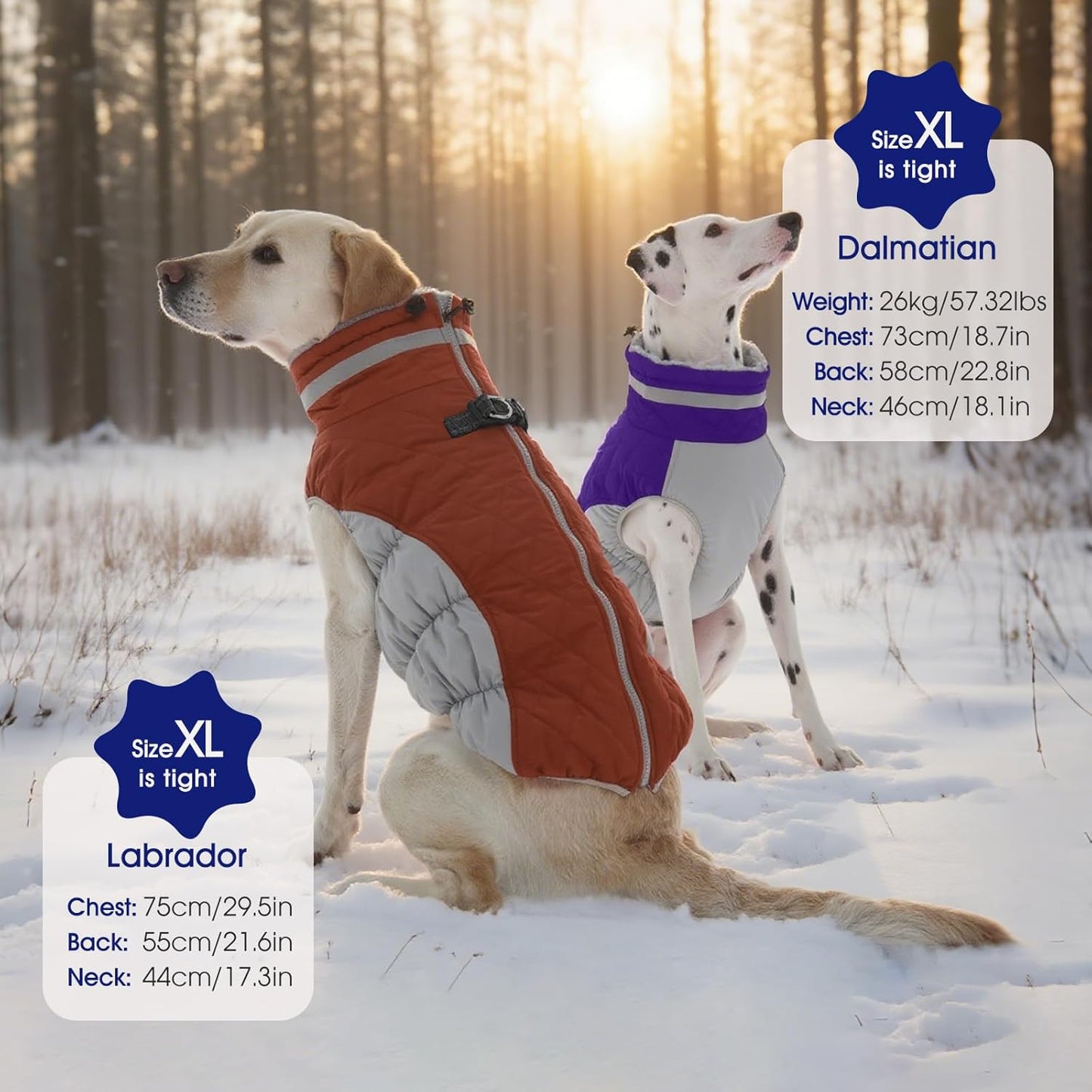 FUAMEY Dog Coat for Small Dogs,Waterproof Dog Winter Jacket with Harness Built in Puppy Cold Weather Coats Reflective Pet Vest with Zipper Warm Fleece Dogs Snowsuit Windproof Purple S