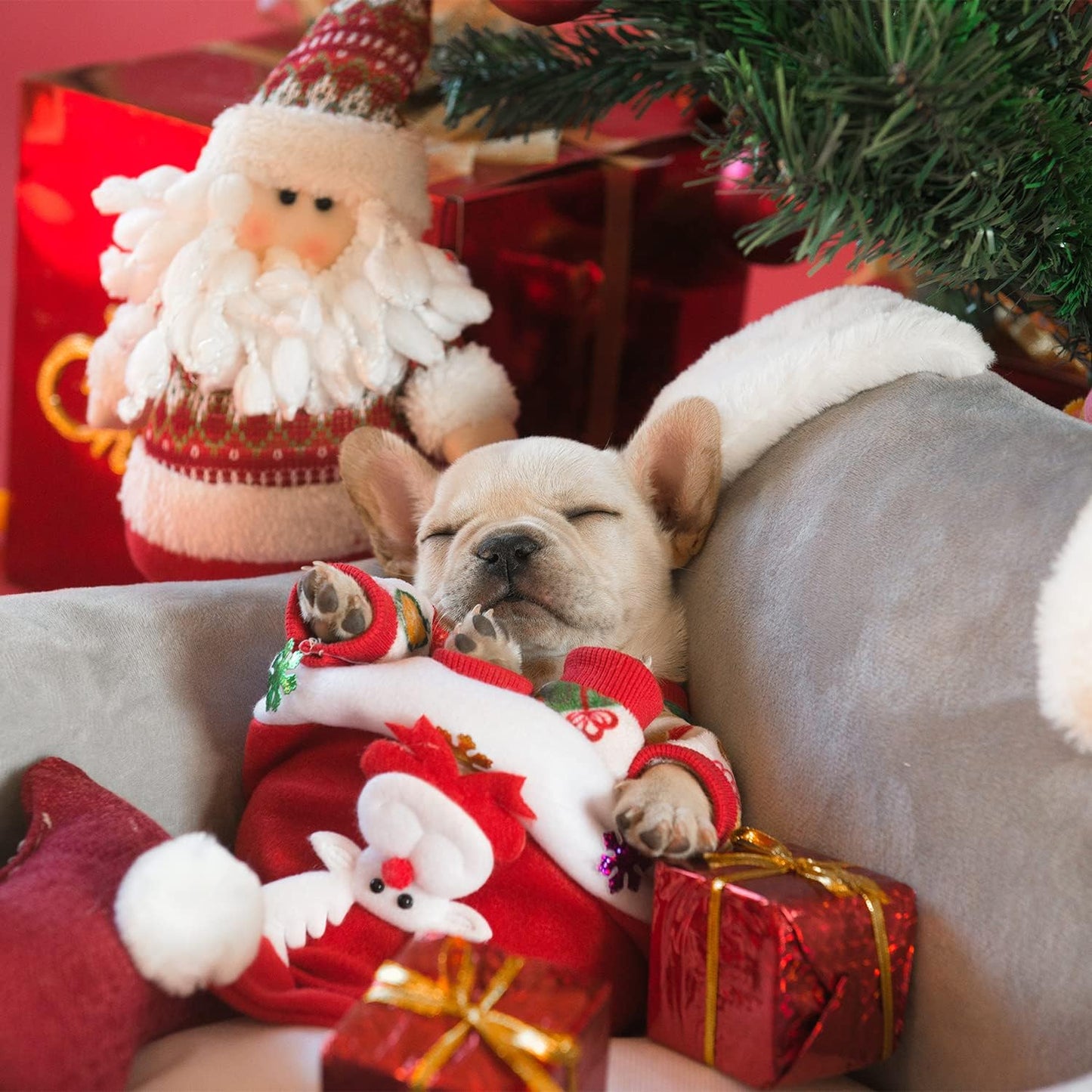 CuteBone Small Dogs Christmas Outfit Soft Puppy Onesies Pjs Dog Pajamas Pet Coat Cat Apparel Comfy Doggie Jumpsuit Bodysuit for All Seasons P17XS