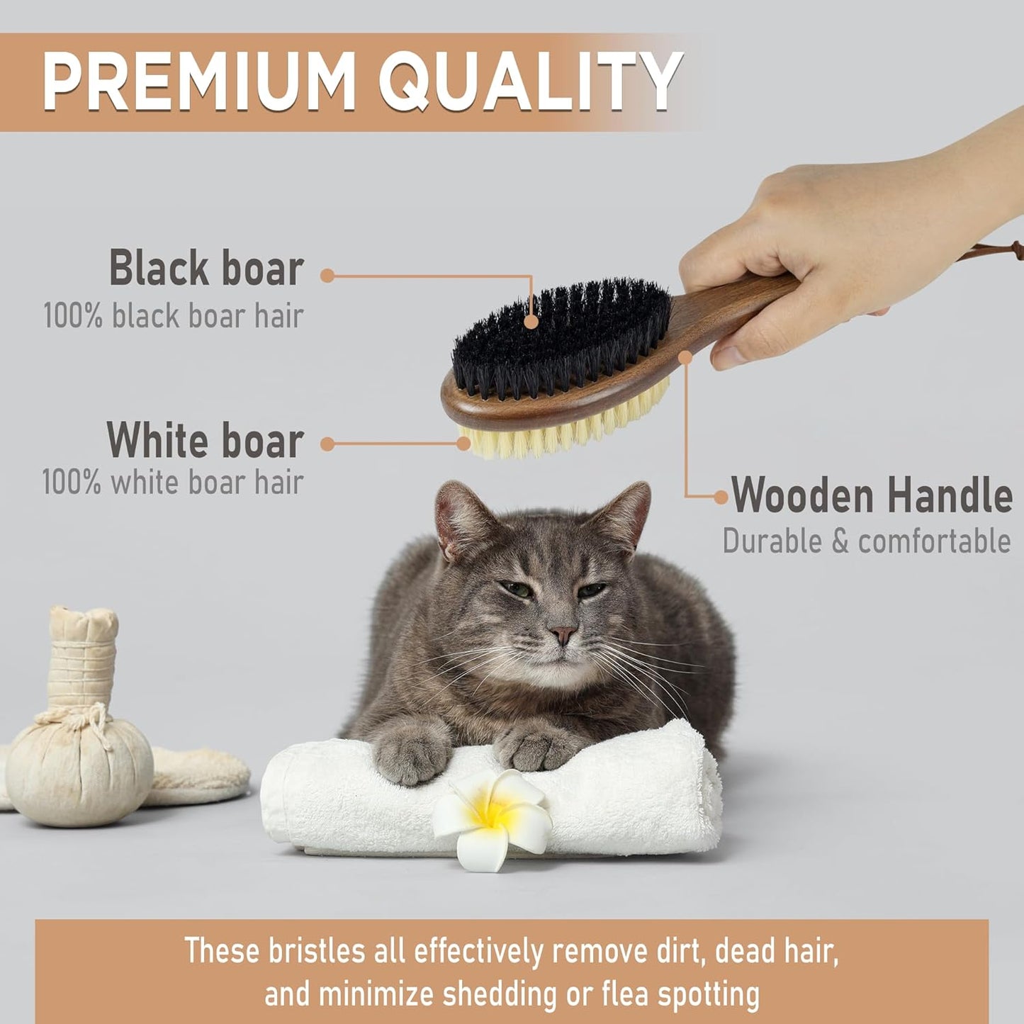 Takavu Double-Sided Boar Bristle Cat Brush - Natural Grooming Tool for Gentle Cleaning, Shine & Reduced Loose Hair - Wood Handle Pet Brush