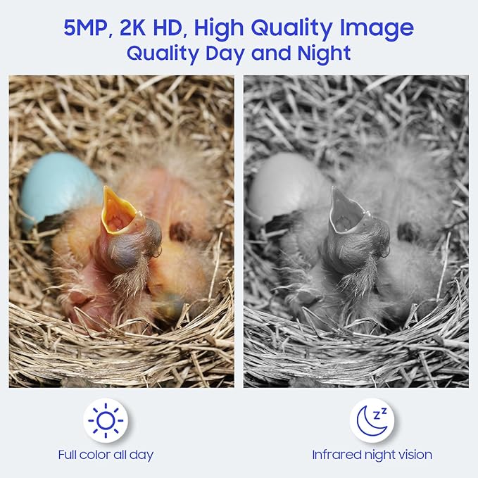 Bird House with Camera, 5MP Smart Birdhouse Camera for Outside with Solar Powered, IP66 Waterproof, Night Vision, Motion Detection & 32GB SD Card, Watch Bird Nesting & Hatching in Real Time