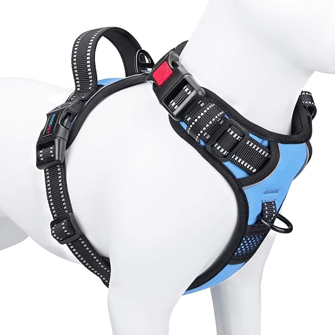 No Pull Dog Harness Reflective Adjustable Vest with Training Handle | Name ID Pocket, 2 Metal Leash Hooks, 3 Snap Buckles [Easy to Put on & Take Off](M, Baby Blue)