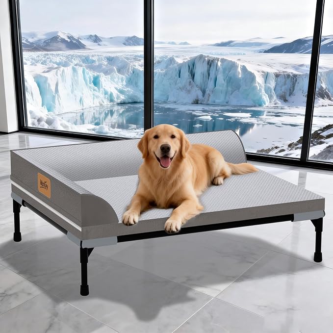 Elevated Cooling Dog Bed, Orthopedic Pet Bed for Medium Dogs, Removable Washable Cover, Indoor & Outdoor Raised Pet Bed with Breathable Mesh, Size: 32"*25"*7"