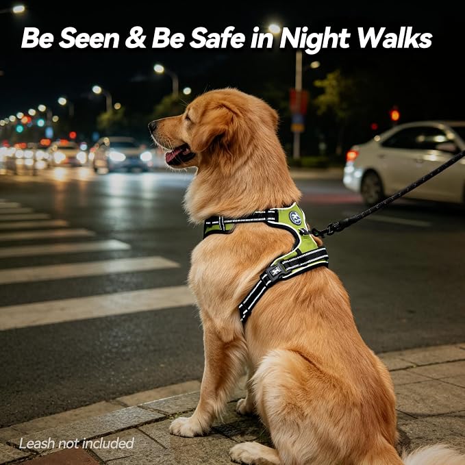 PoyPet No Pull Dog Harness Small with Front Clip & Neck Release Buckle | No Choke, Adjustable Vest, Reflective, Back Clip, Lockable, Soft Padded, Easy Control Handle for Walking Training, XS, Green
