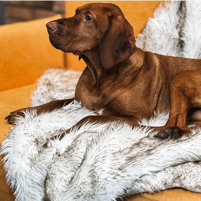 Waterproof Dog Blanket for Small, Medium & Large Dogs – Faux Fur Pet Throw for Couch, Sofa, Bed & Car – Soft, Washable, Stain-Resistant, Durable Cover – White w/Brown Tips – 80" x 60"