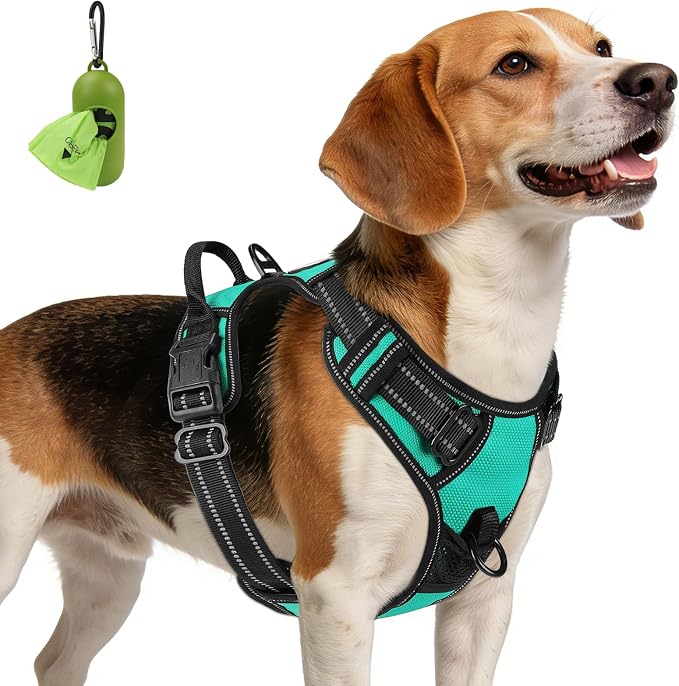 Joytale No Pull Dog Harness Medium Sized Dog, Front Clip, Teal | Grab Handle for Instant Control, Padded & Adjustable Vest, Sturdy Metal D-Rings, for Safe Training & Daily Walking