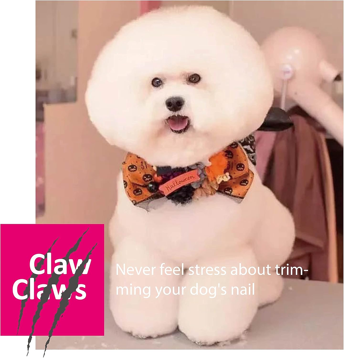 Guillotine Type Dog Nail Clippers for Small and Medium-Sized Dogs, Safety Guard to Avoid Over Cutting, Sharp Stainless Steel Blade, 7 mm Hole