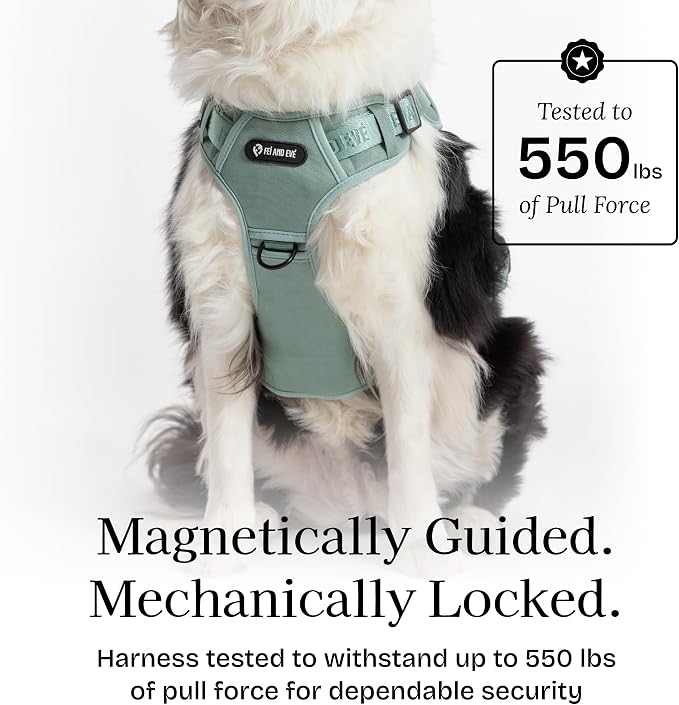Fei & Eve Classic Dog Harness, MagEase Magnetic Buckle | 3-Point No-Pull Control, Dual Handle Support, 900D Nylon, Tactical Patch Panel, Heavy Duty, X-Large, Green