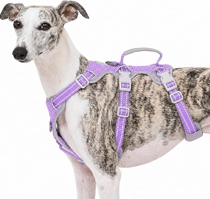 Escape Proof Dog Harness, No Pull Reflective Harness with Lift Handle,Adjustable Pet Vest with Front and Back Leash Clips for Small Medium Large Dogs Walking Hiking Training(Lavender Purple,L)