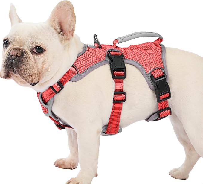 Escape Proof Dog Harness, Dachshund Harness, Reflective Dog Harness with Handle, Durable,Adjustable Vest for Small Medium Large Dogs Walking, Training, and Running Gear (Red,M)